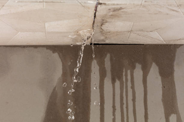 Professional Commercial Water Damage Restoration technician working in Forest Hills, MI